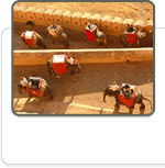 Vacances en Inde