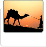 Vacances en Inde